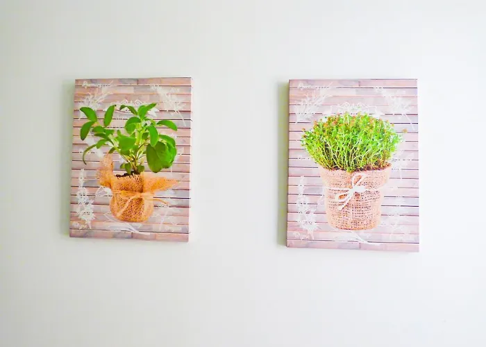 Апартаменты Olas *