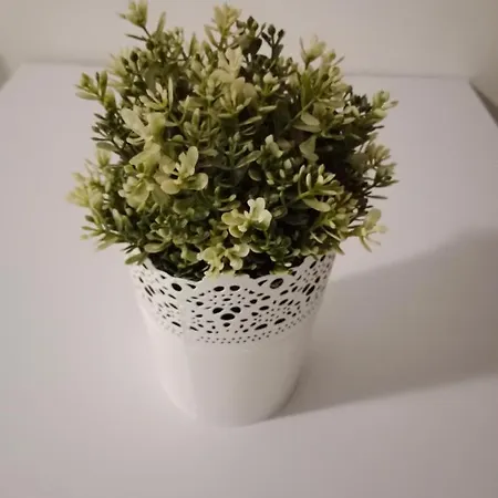 Apartment Olas Playa del Inglés