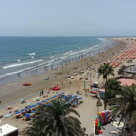 Olas