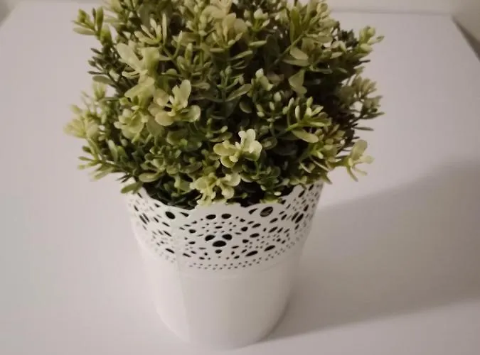 Διαμέρισμα Olas Πλάγια ντελ Ινγκλές